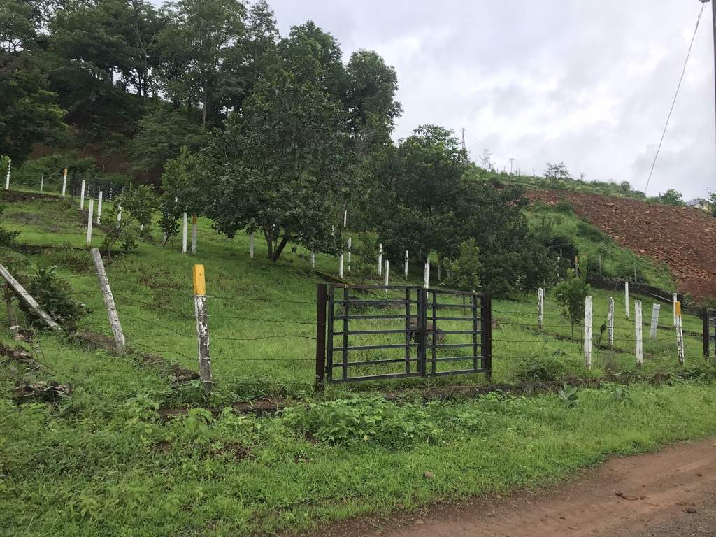 Gunavant Supadu Patil Sky Heaven