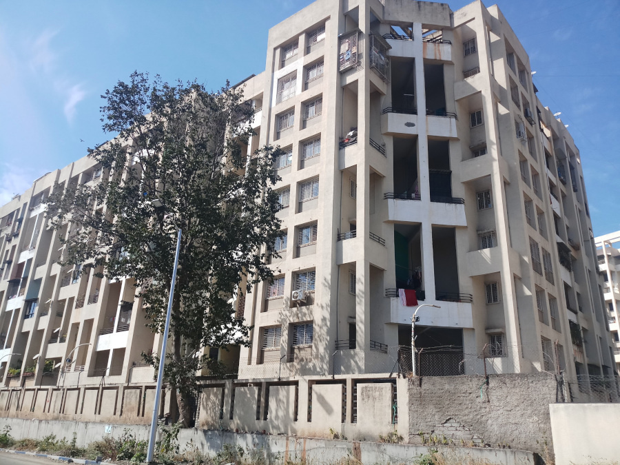  optima phase ii Elevation