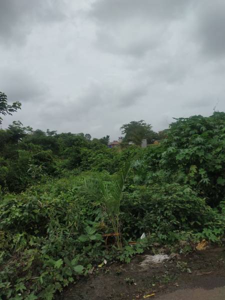 Images for constructionStatus