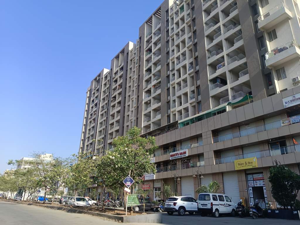  essence phase 4 Elevation