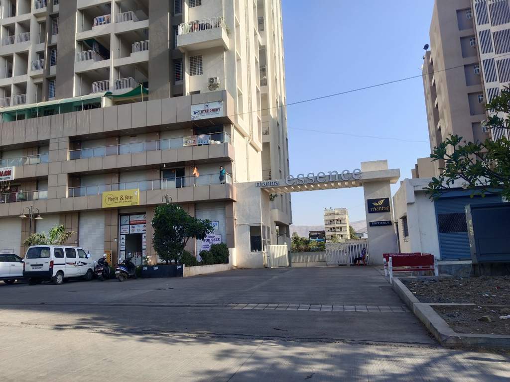  essence phase 4 Elevation