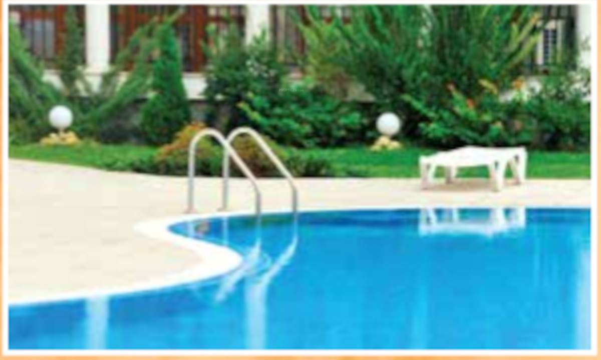  essence phase 4 Others