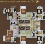  exotica-b Classic Exotica B Cluster Plan