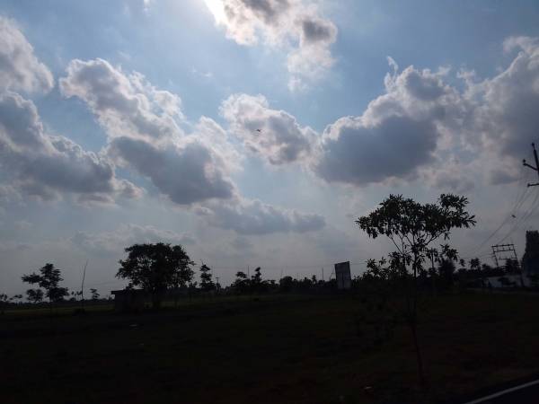 Images for Amenities of Ashok Ashok Brindavanam