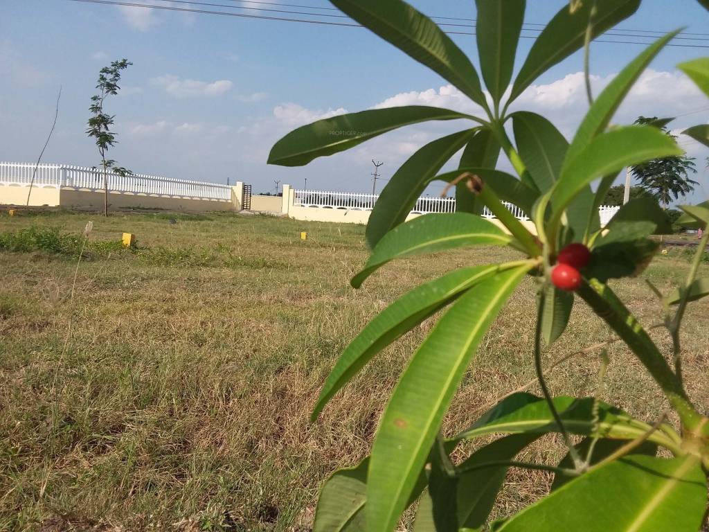 Images for Amenities of Ashok Ashok Brindavanam