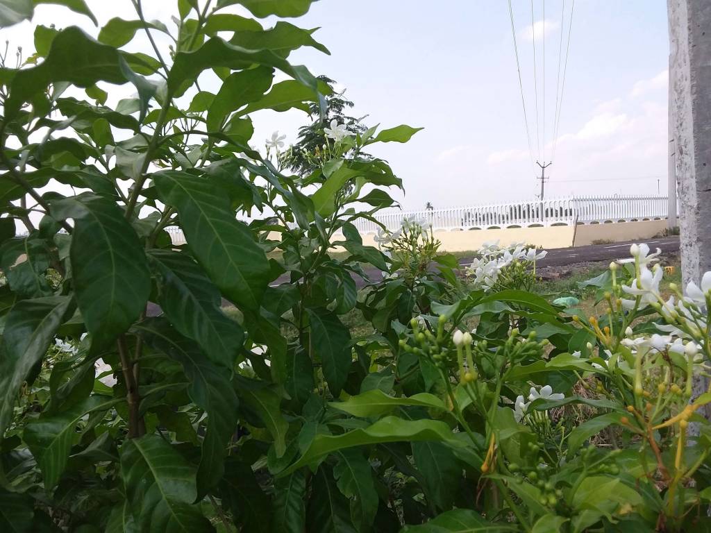 Images for Amenities of Ashok Ashok Brindavanam