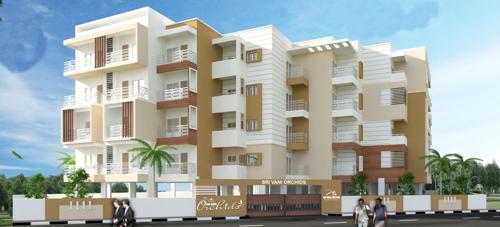 Images for Elevation of Sri Vani Orchids orchids Images for Elevation of Sri Vani Orchids