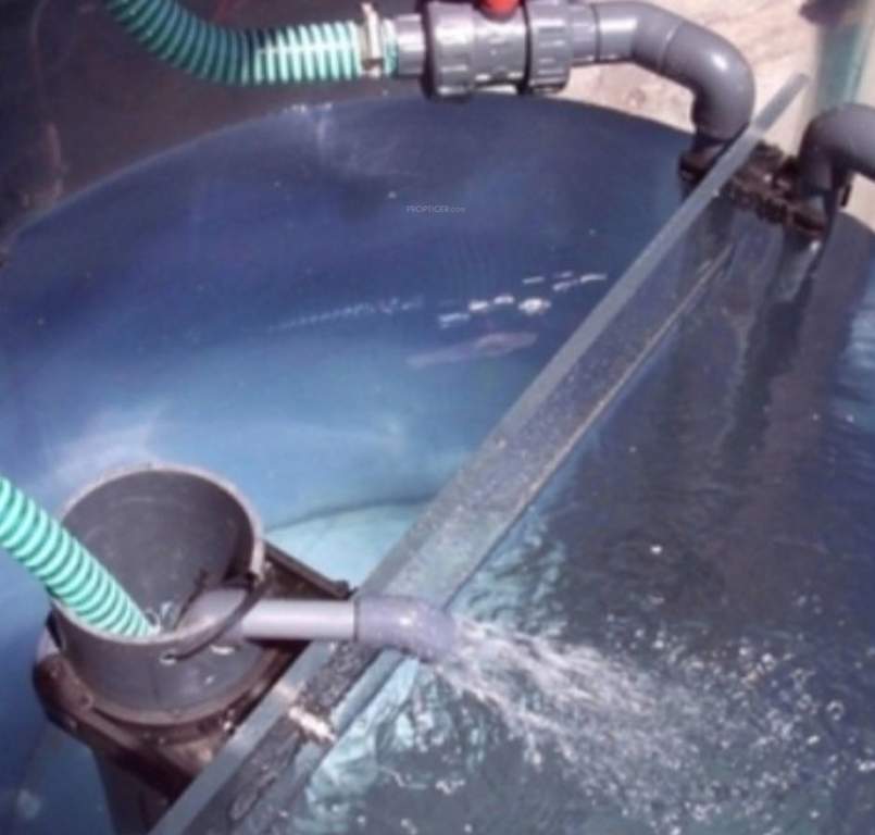  orchids Images for Amenities of Sri Vani Orchids