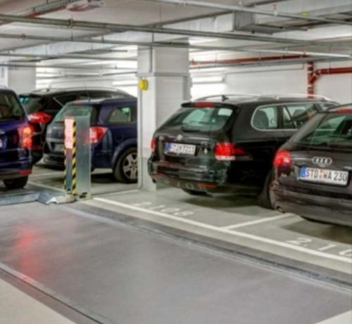  orchids Images for Amenities of Sri Vani Orchids