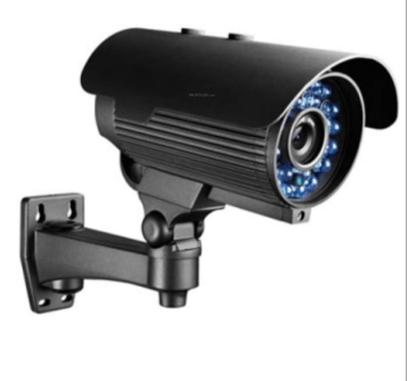  orchids Images for Amenities of Sri Vani Orchids