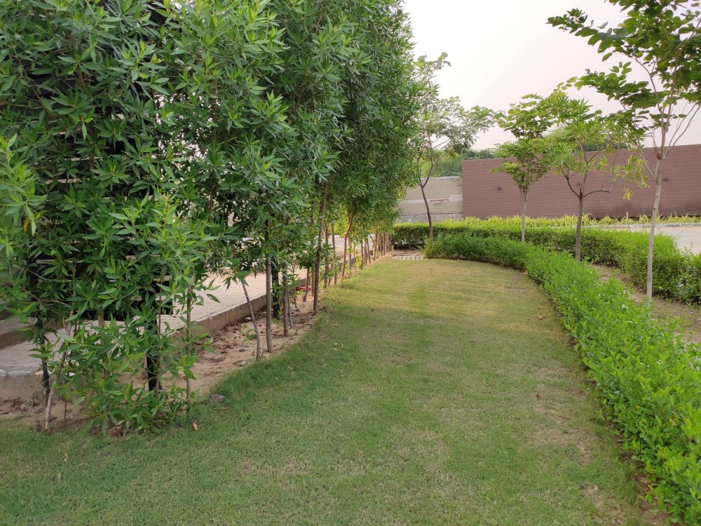  the otherside Landscaped Gardens