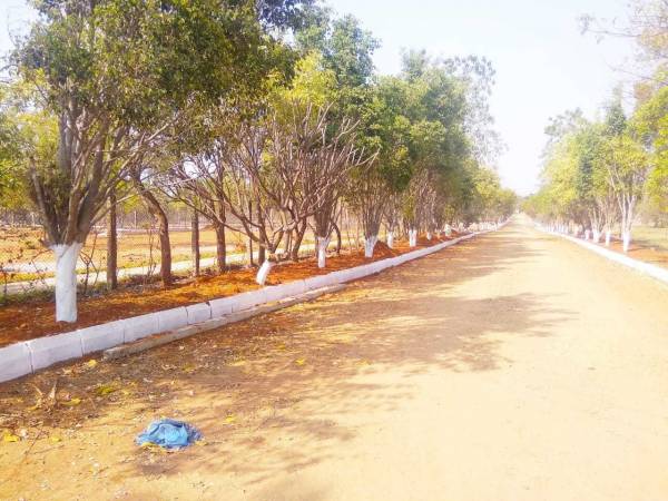  prime-avenue Elevation