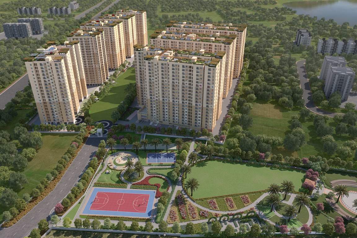  revolution one Elevation