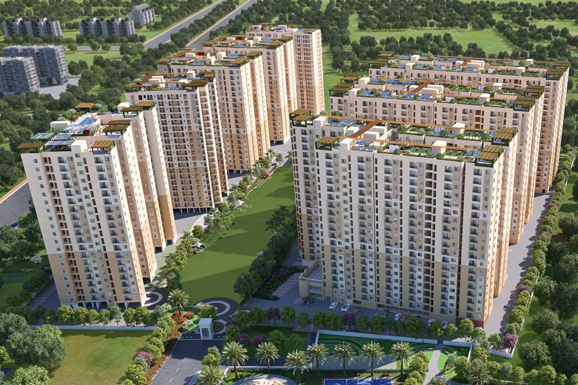  revolution one Elevation