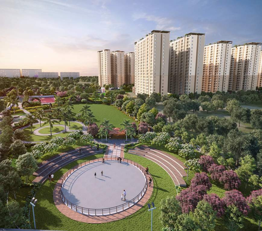  revolution one Elevation