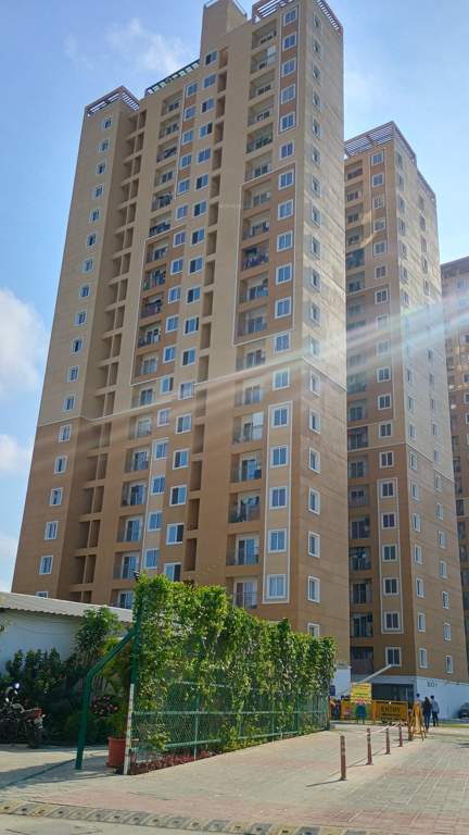  revolution one Elevation