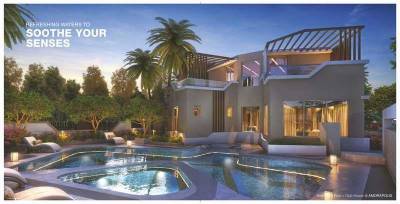  amorapolis-a-wing Others