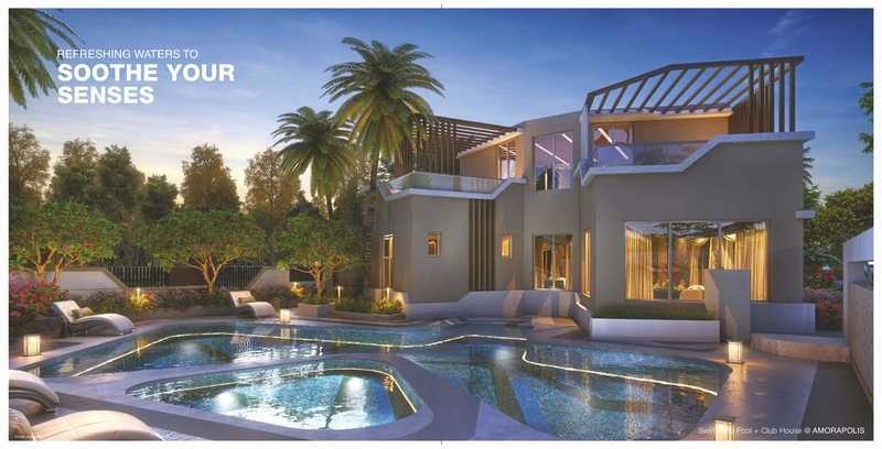  amorapolis a wing Others