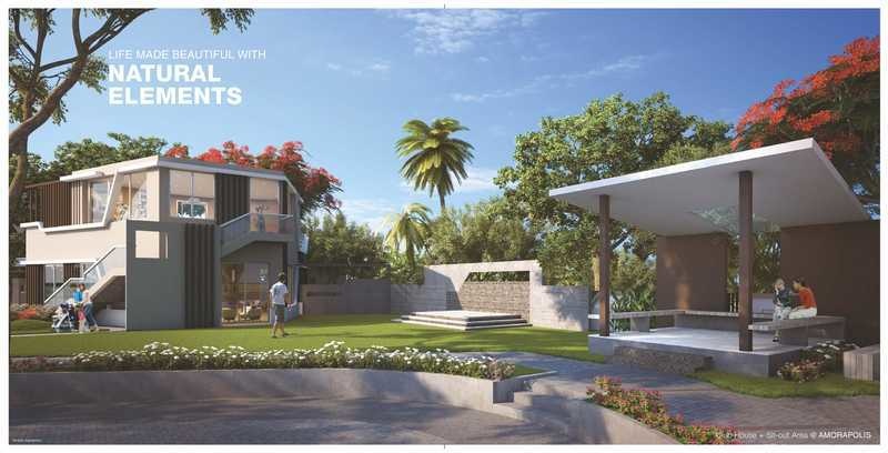  amorapolis a wing Others