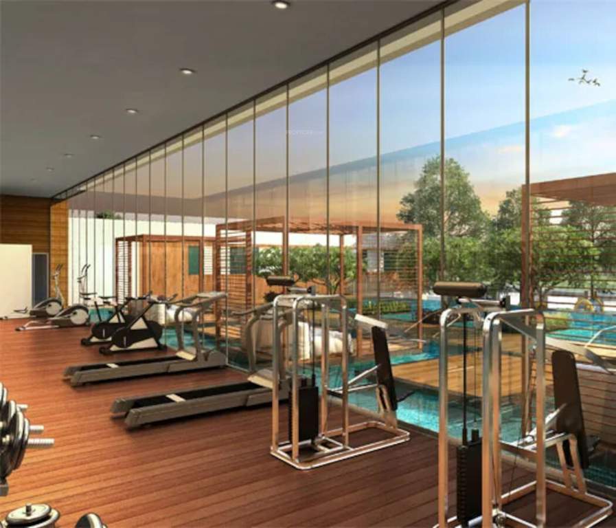  leonara building c and f Gymnasium