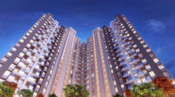  belair-b-and-d-building Elevation