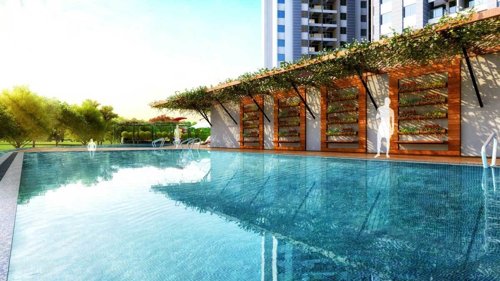  belair-b-and-d-building Swimming Pool