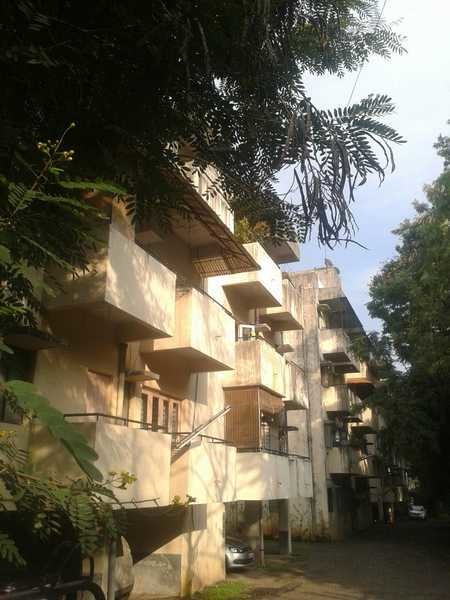  blue-bird-csl Elevation