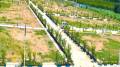 Brinda Properties Imperial