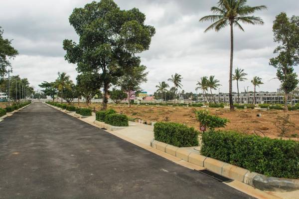 Images for Elevation of The Address The Serenity