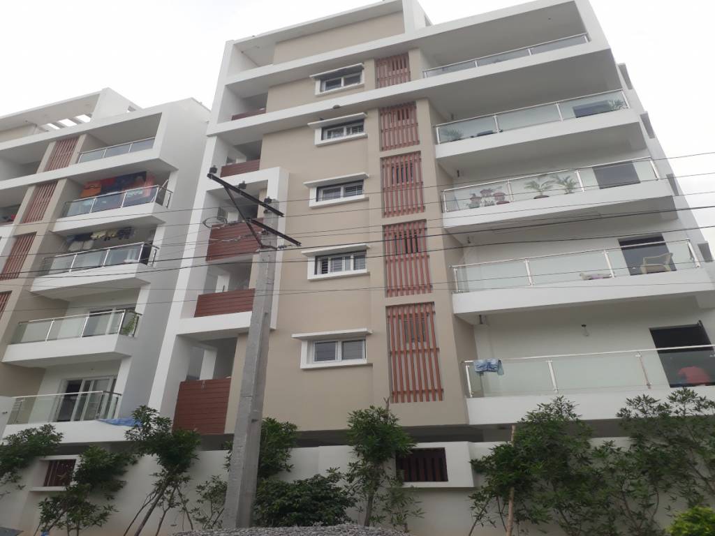  eternal indra Elevation