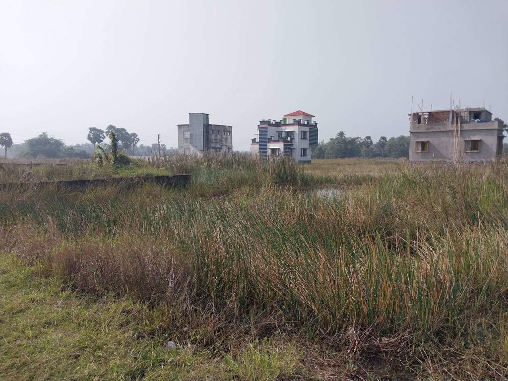  raspunja city Plot