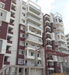 Images for Project Images for Project