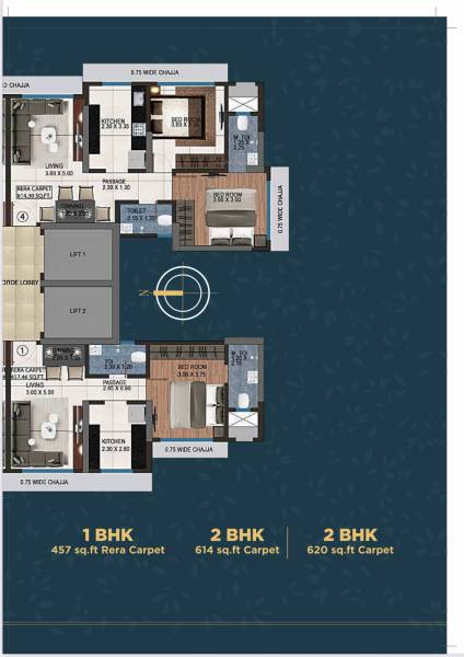  aurigae-residency-d-wing Aurigae Residency D Wing Cluster Plan