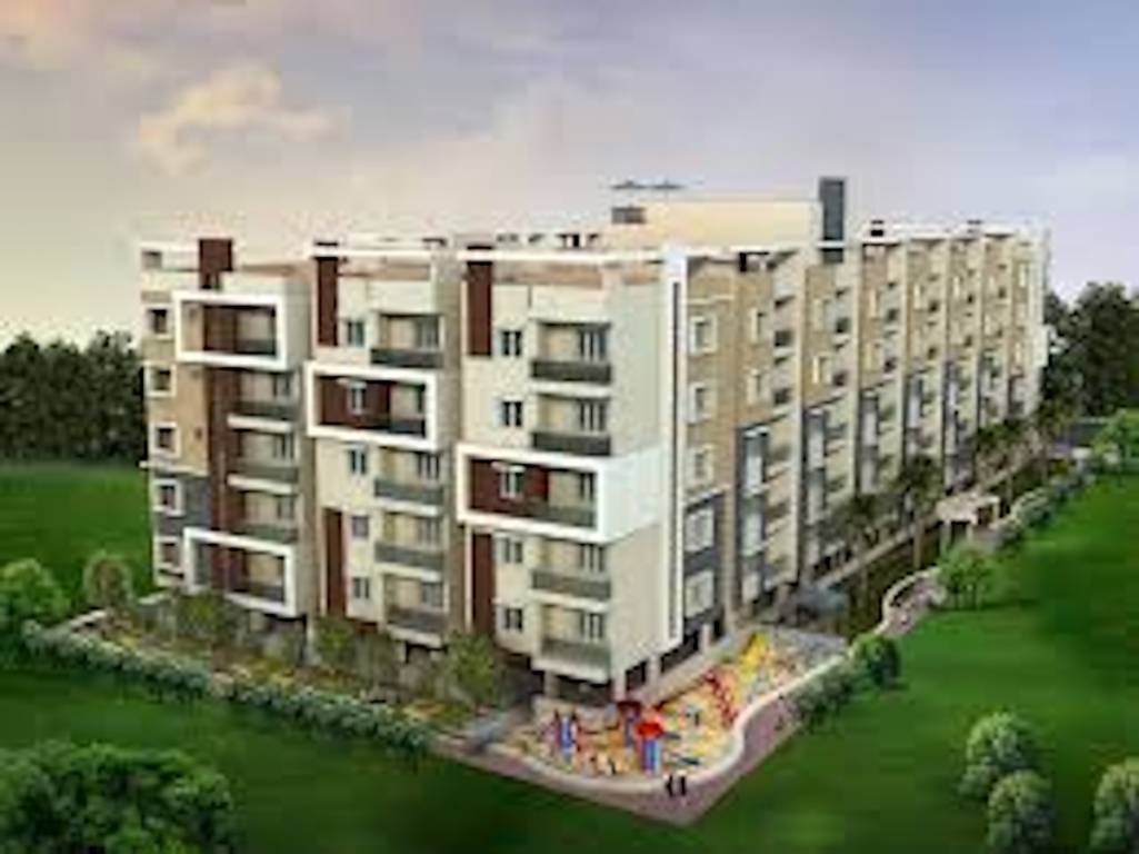  exotica Images for Project