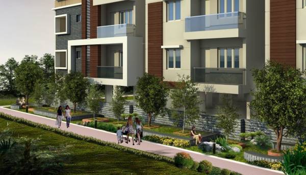  exotica Paved Compound