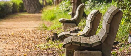  padmavati-hills-a-d-h Senior Citizen Sitout