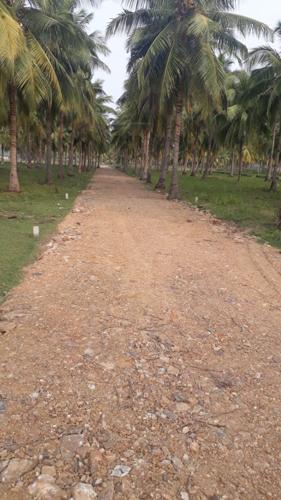 Images for Main Other of Accord Ranch City