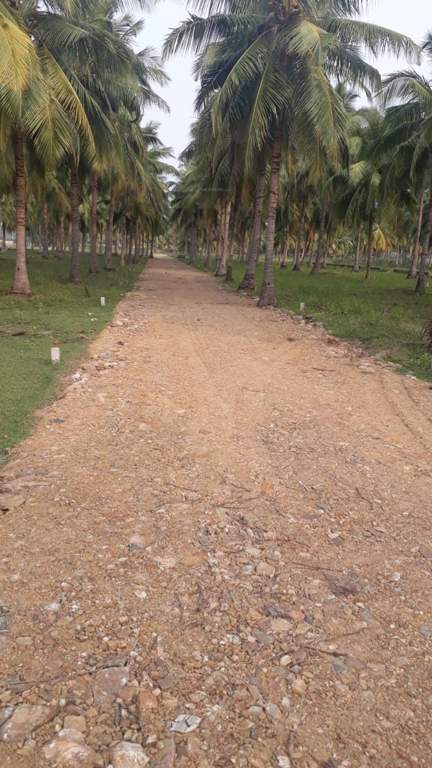 Images for Main Other of Accord Ranch City