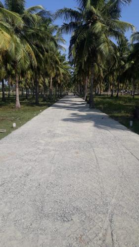 Images for Main Other of Accord Ranch City