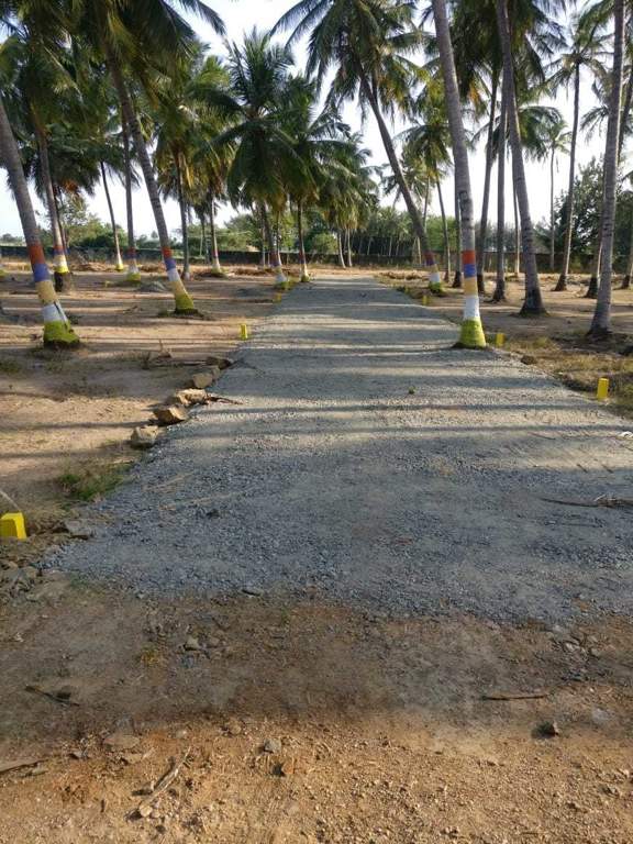  ranch city Images for Main Other of Accord Ranch City