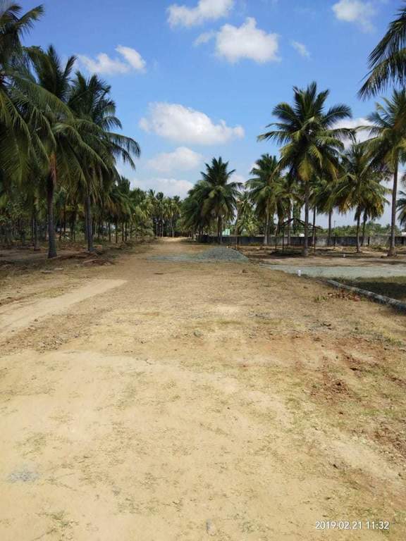  ranch city Images for Main Other of Accord Ranch City