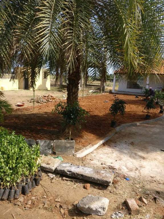  ranch city Images for Main Other of Accord Ranch City