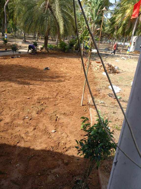 Images for Main Other of Accord Ranch City