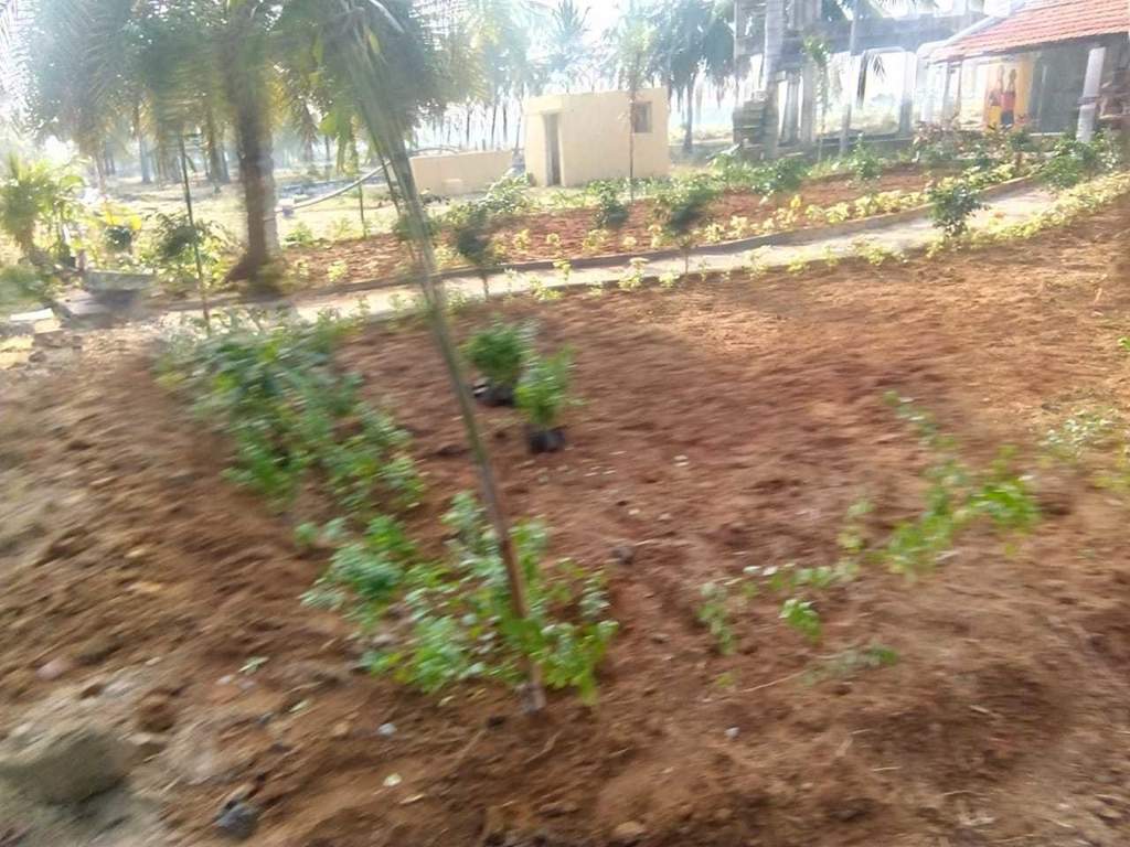 Images for Main Other of Accord Ranch City