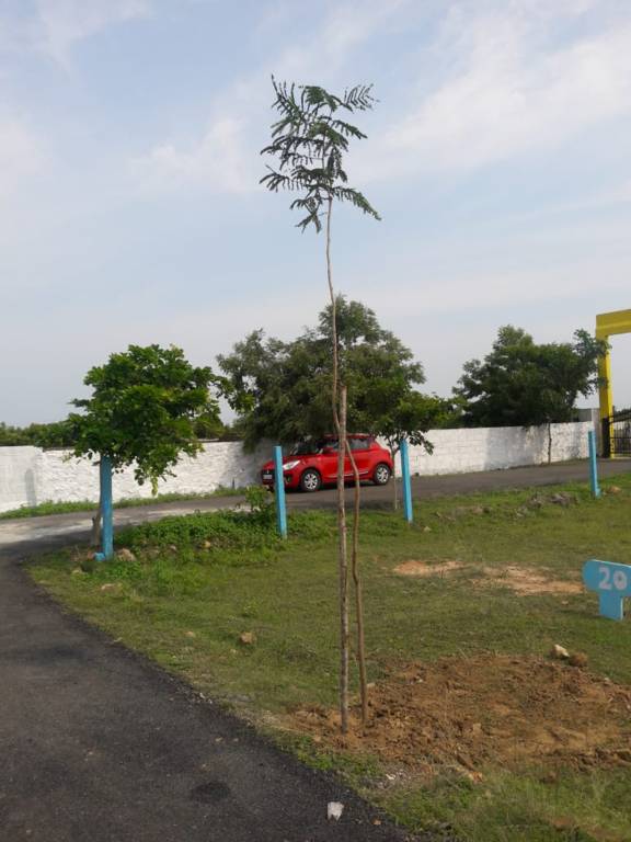 Images for Elevation of Accord Tejas Enclave