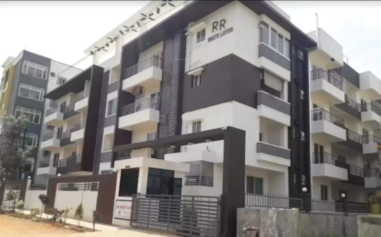  white lotus Images for Project