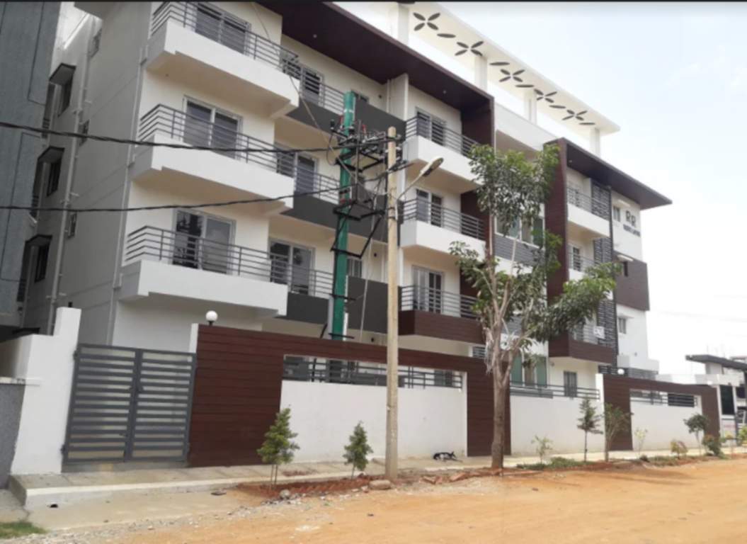  white lotus Images for Project