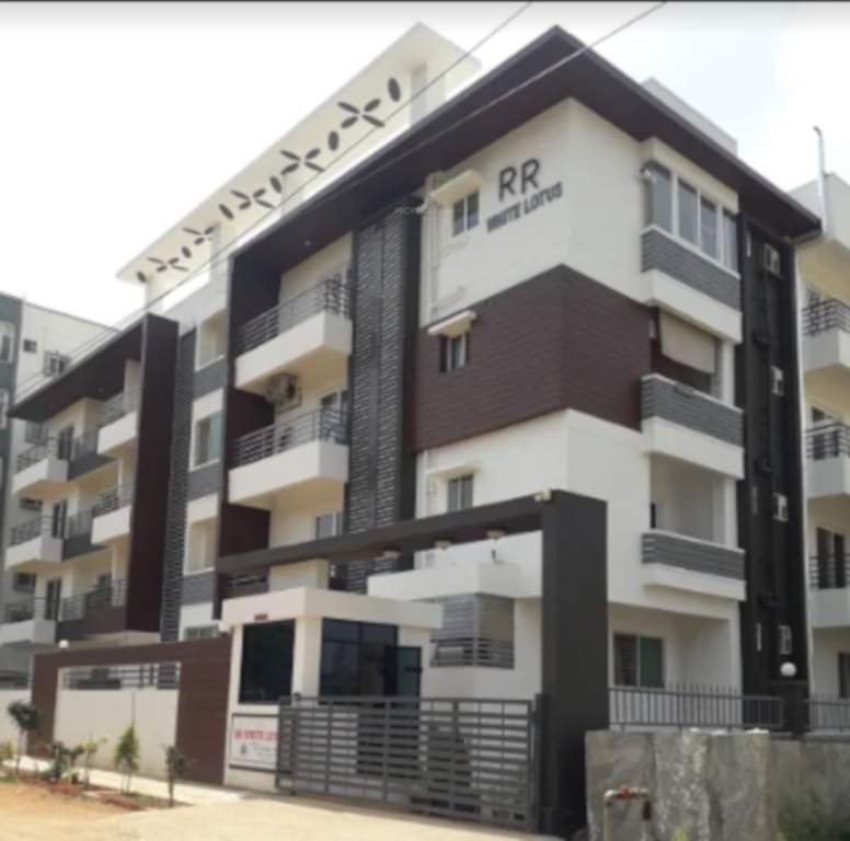  white lotus Images for Project