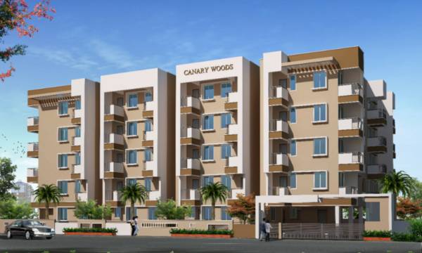 Elevation woods Elevation