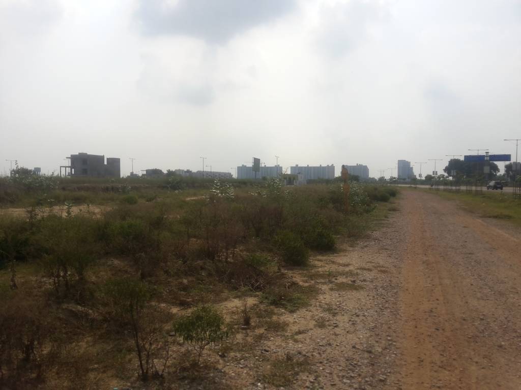 Images for mainOther